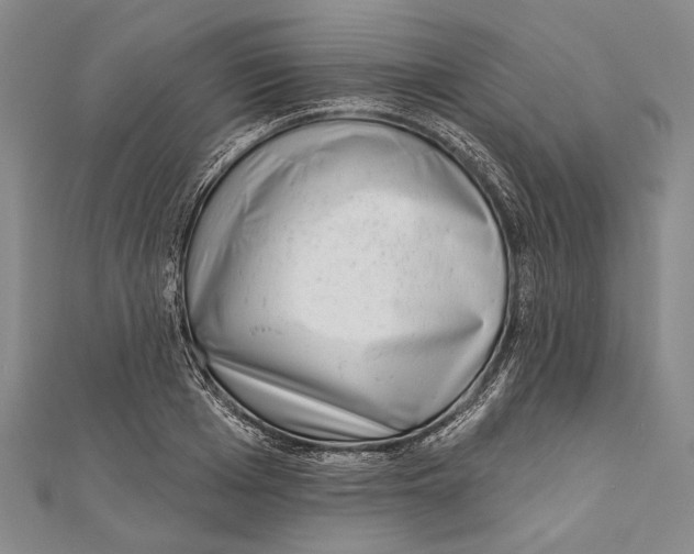 X0000111000985200907101448