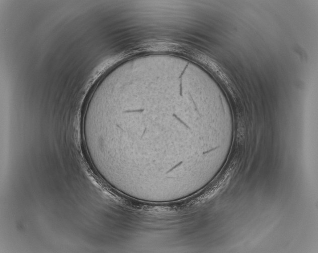 X0000111000986200907101448