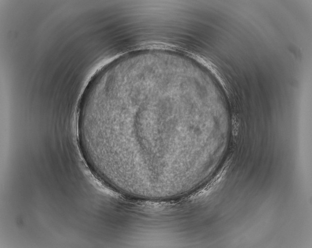 X0000111000987200907101448