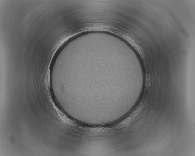 X0000111000988200907101448