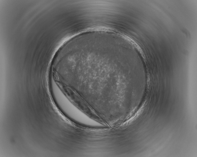 X0000111000989200907101448