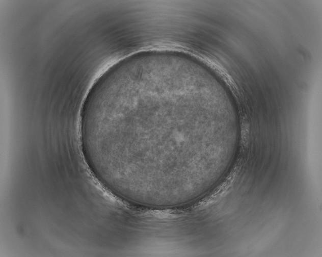 X0000111000990200907101448