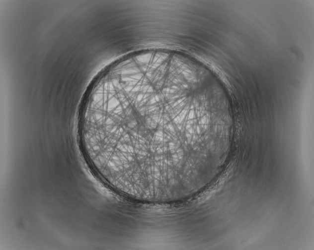 X0000111000991200907101448