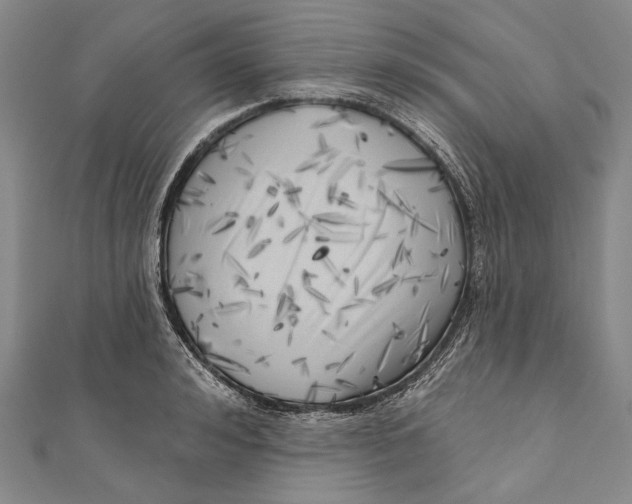 X0000111000992200907101448