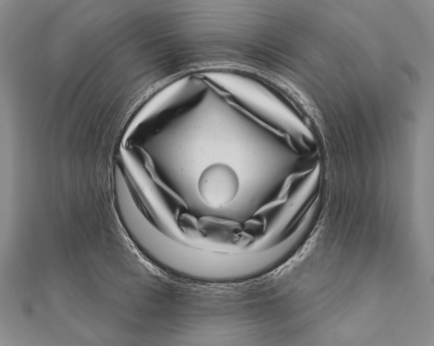 X0000111000993200907101448