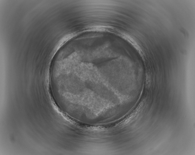 X0000111000994200907101448