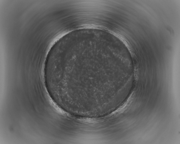 X0000111000995200907101448