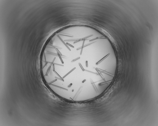 X0000111000996200907101448