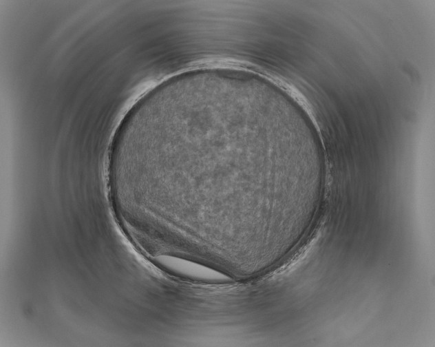 X0000111000997200907101448