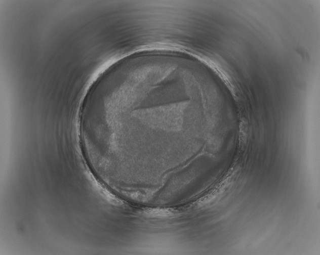 X0000111000998200907101448