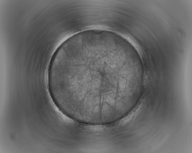 X0000111000999200907101448