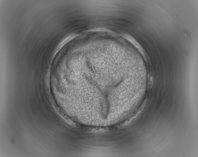 X0000111001002200907101448