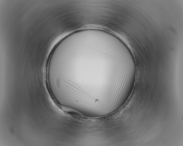 X0000111001003200907101448