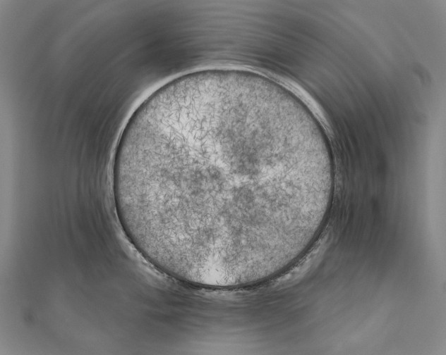 X0000111001004200907101448