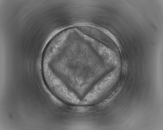 X0000111001005200907101448