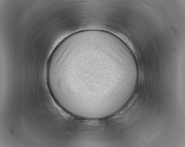 X0000111001006200907101448