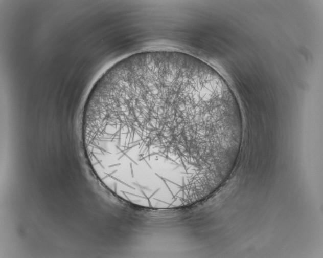 X0000111001008200907101448