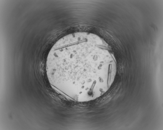 X0000111001010200907101447