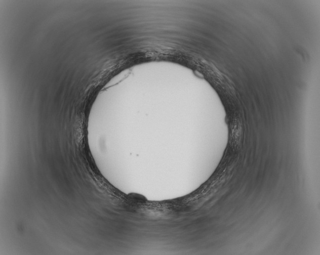 X0000111001012200907101447