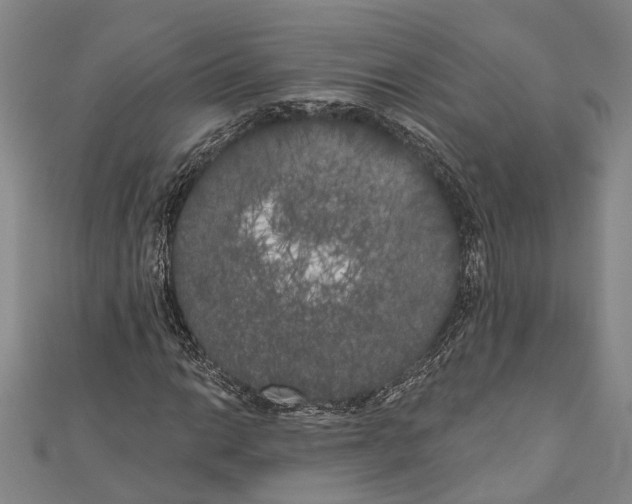 X0000111001014200907101447