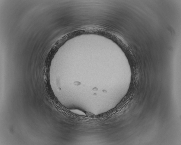 X0000111001016200907101447