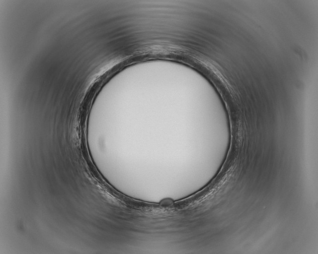 X0000111001018200907101447