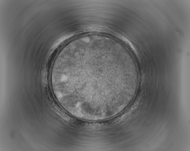 X0000111001019200907101447