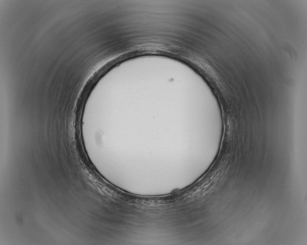 X0000111001020200907101447