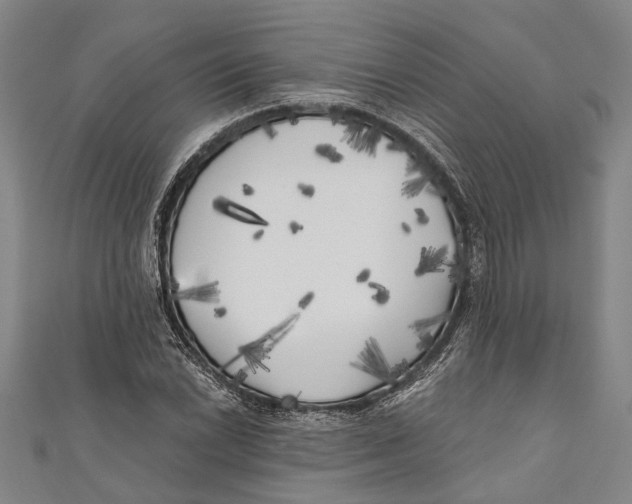 X0000111001022200907101447