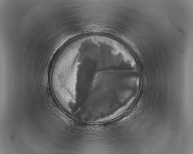 X0000111001023200907101447