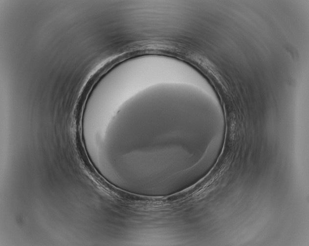 X0000111001024200907101447