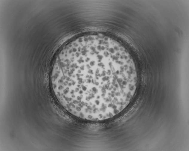 X0000111001025200907101447