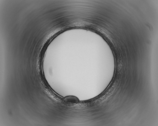 X0000111001026200907101447