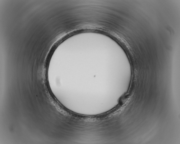 X0000111001029200907101447