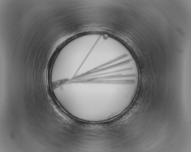 X0000111001030200907101447