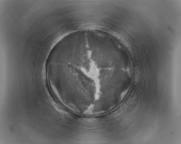 X0000111001031200907101447