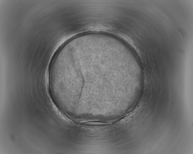 X0000111001032200907101447