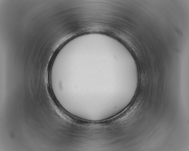 X0000111001034200907101447