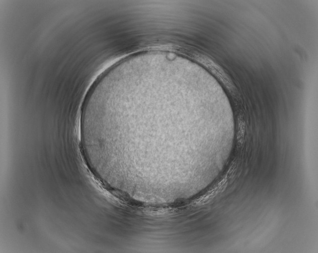 X0000111001036200907101448