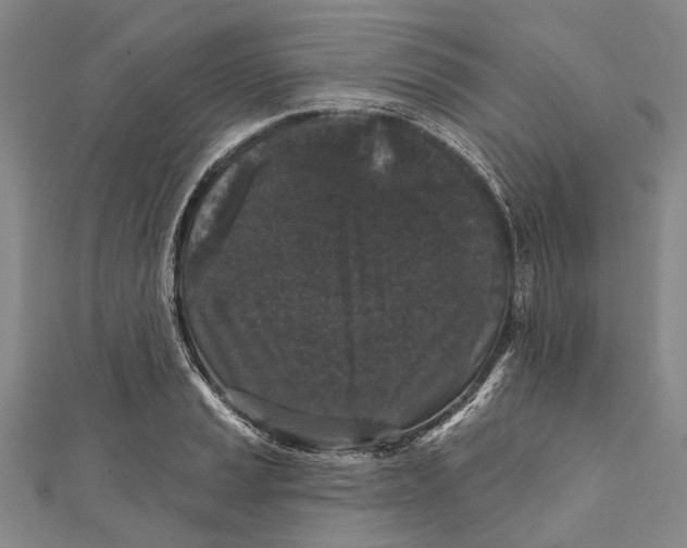 X0000111001037200907101448