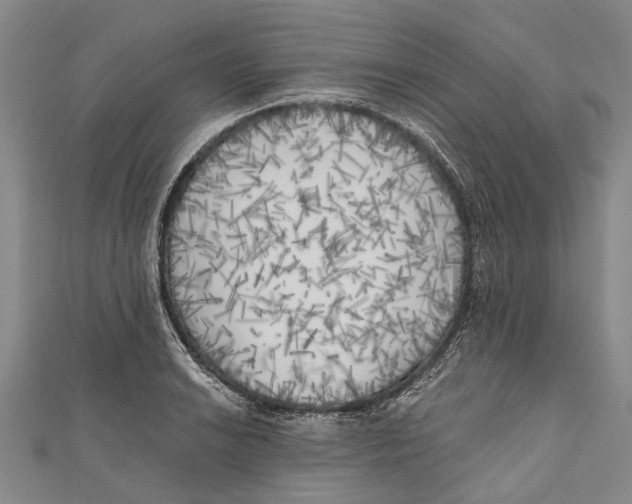 X0000111001038200907101448