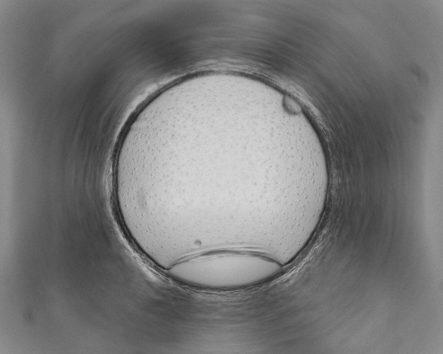 X0000111001040200907101448