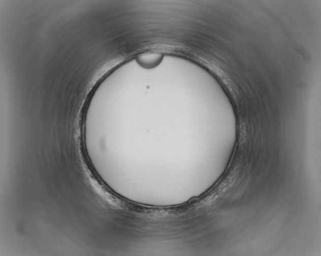 X0000111001042200907101448