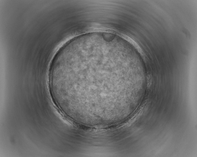 X0000111001043200907101448