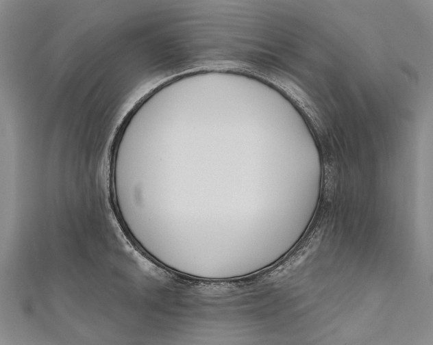 X0000111001046200907101448