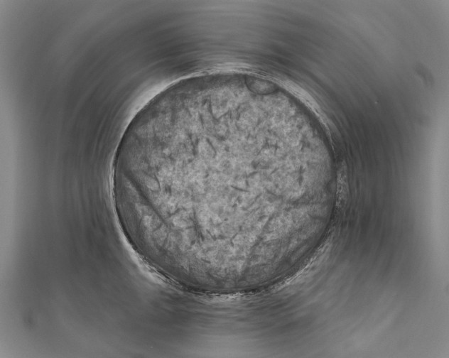 X0000111001047200907101448