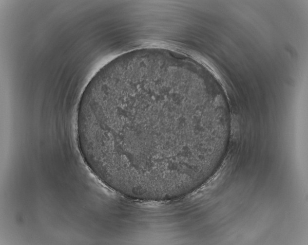 X0000111001048200907101448