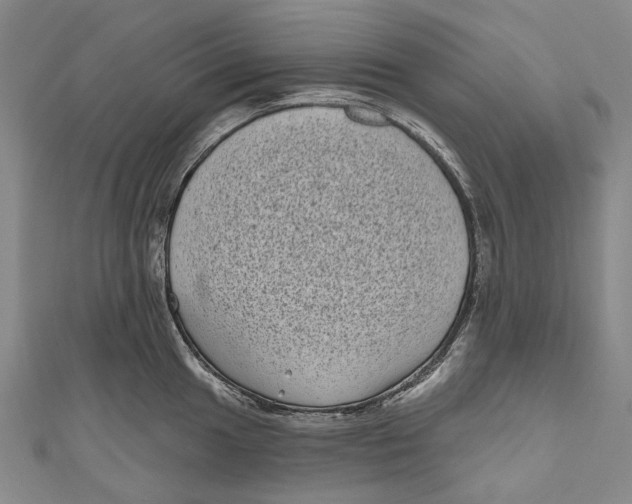 X0000111001049200907101448