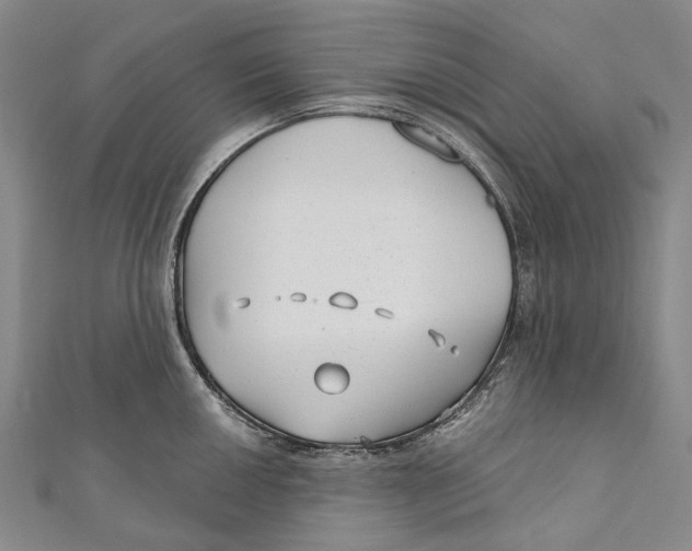 X0000111001050200907101448