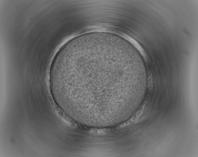 X0000111001051200907101448